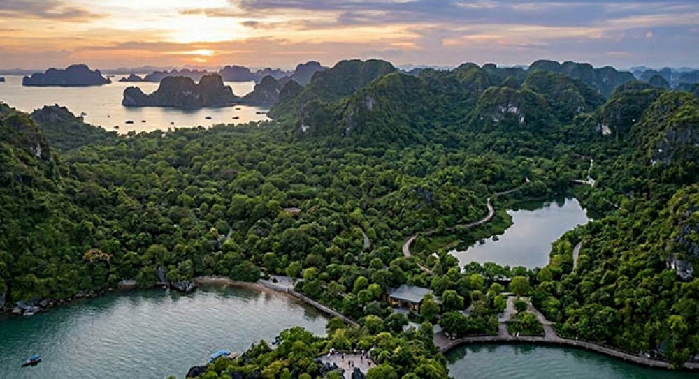Bảng giá rumor dự án Vinhomes Hạ Long Xanh 2026: Phân tích chi tiết cơ hội đầu tư và tiềm năng tăng giá